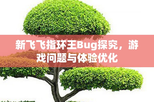 新飞飞指环王Bug探究图片