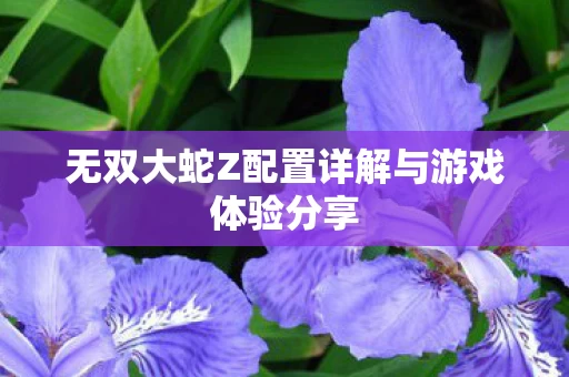 无双大蛇Z配置详解与游戏体验分享图片