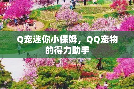 QQ宠物的得力助手图片