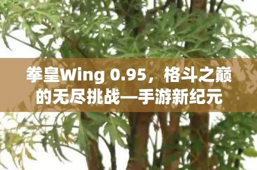 格斗之巅的无尽挑战图片