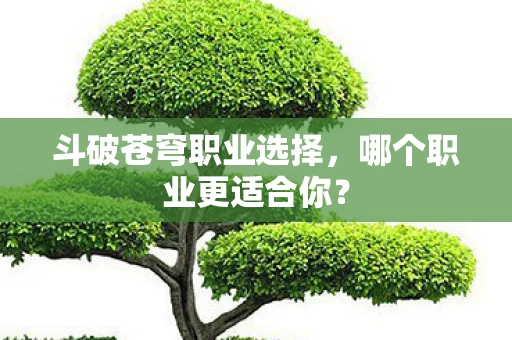 斗破苍穹职业选择图片