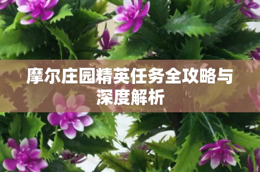 摩尔庄园精英任务全攻略与深度解析图片