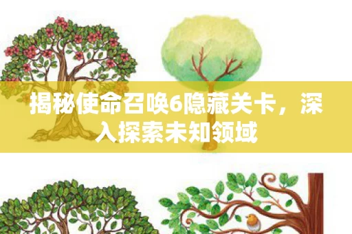 揭秘使命召唤6隐藏关卡图片