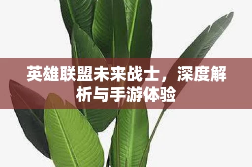 深度解析与手游体验图片