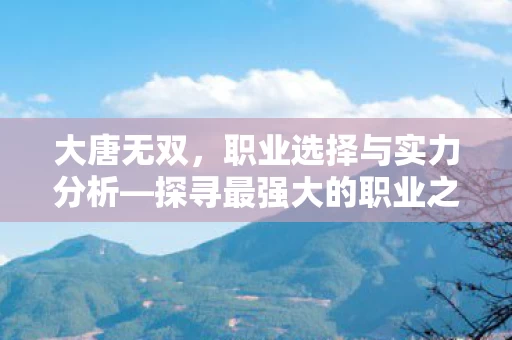 探寻最强大的职业之路图片