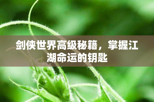 掌握江湖命运的钥匙图片