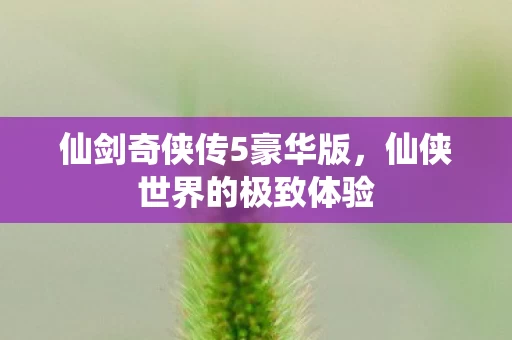 仙剑奇侠传5豪华版图片
