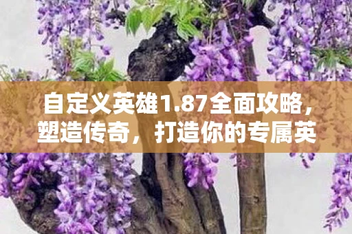 打造你的专属英雄图片