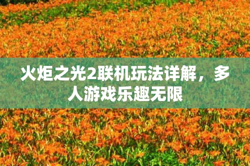 火炬之光2联机玩法详解图片