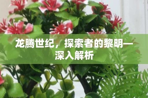 探索者的黎明图片