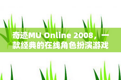 奇迹MU Online 2008图片
