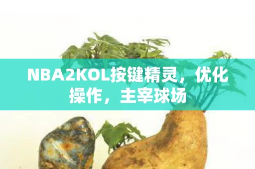 NBA2KOL按键精灵图片