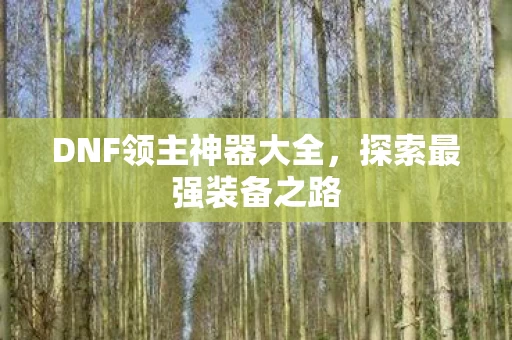DNF领主神器大全图片