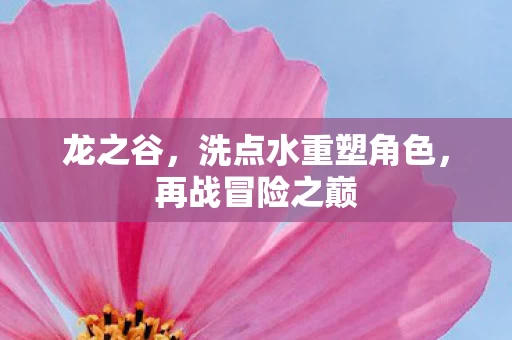洗点水重塑角色图片