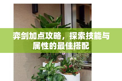 探索技能与属性的最佳搭配图片