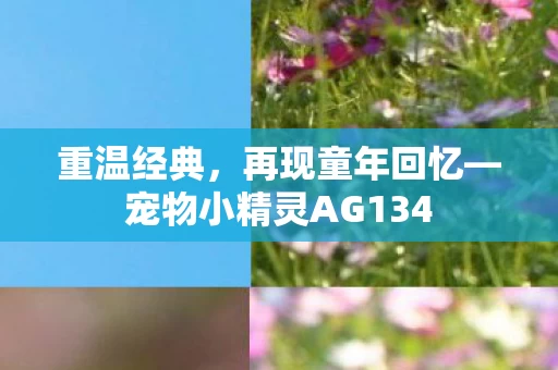 宠物小精灵AG134图片