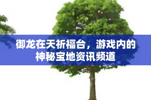 游戏内的神秘宝地资讯频道图片