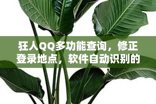 软件自动识别的新境界图片