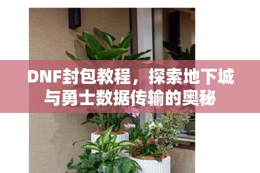 探索地下城与勇士数据传输的奥秘图片