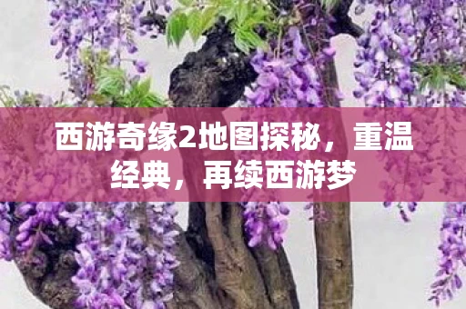 西游奇缘2地图探秘图片