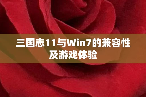 三国志11与Win7的兼容性及游戏体验图片