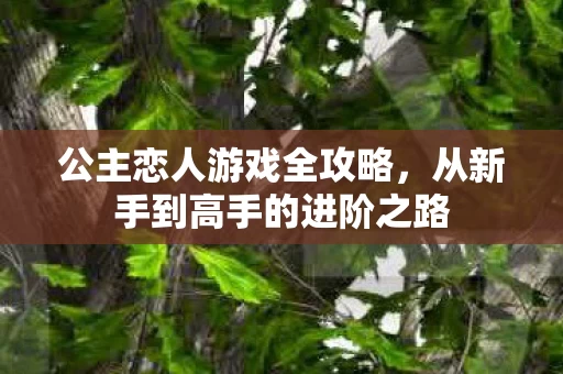 从新手到高手的进阶之路图片