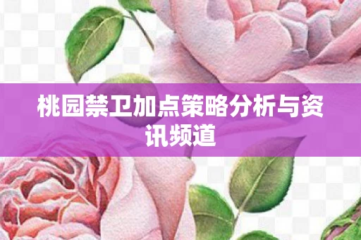 桃园禁卫加点策略分析与资讯频道图片