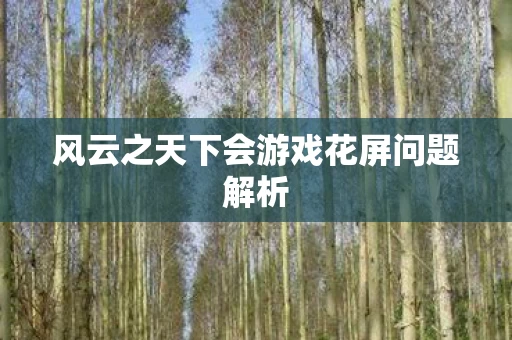 风云之天下会游戏花屏问题解析图片
