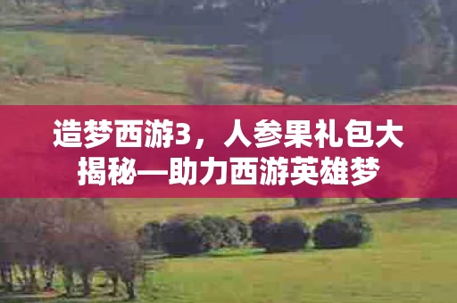 人参果礼包大揭秘图片