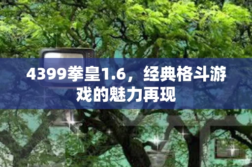 经典格斗游戏的魅力再现图片
