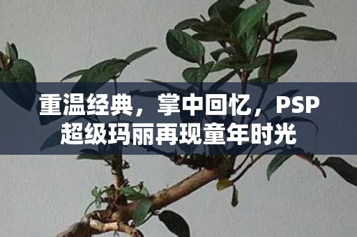 PSP超级玛丽再现童年时光图片