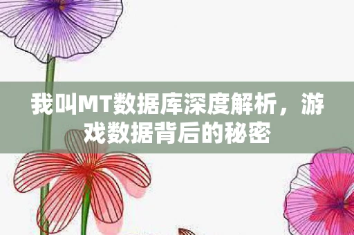 我叫MT数据库深度解析图片