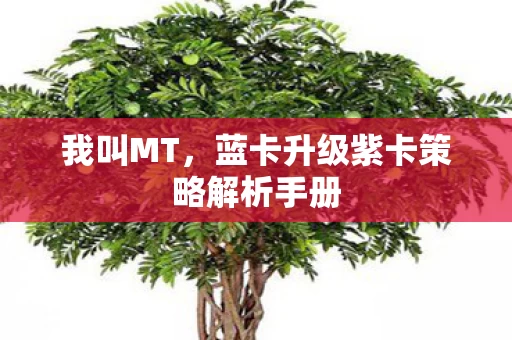 蓝卡升级紫卡策略解析手册图片
