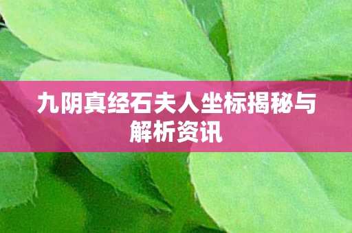 九阴真经石夫人坐标揭秘与解析资讯图片