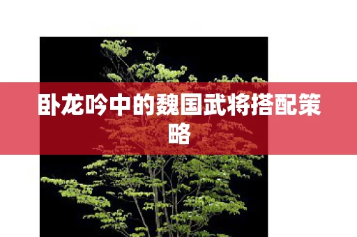卧龙吟中的魏国武将搭配策略图片