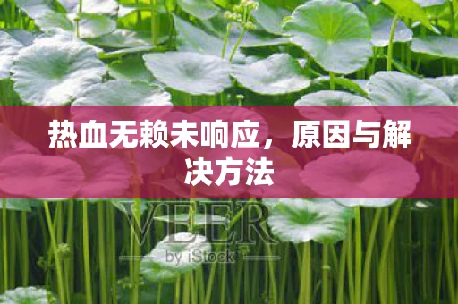热血无赖未响应图片