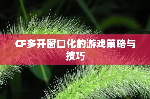 CF多开窗口化的游戏策略与技巧图片
