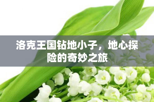地心探险的奇妙之旅图片