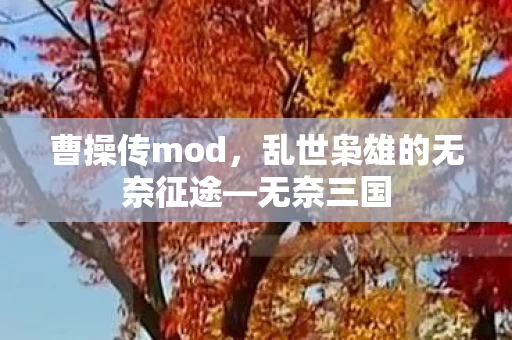 乱世枭雄的无奈征途图片