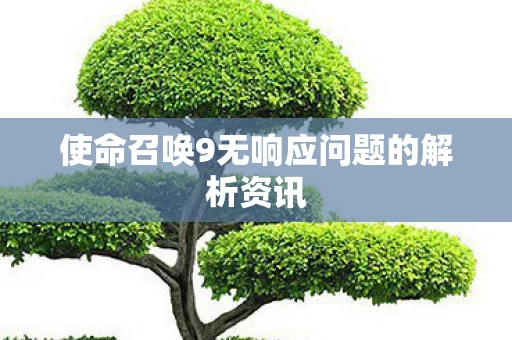使命召唤9无响应问题的解析资讯图片