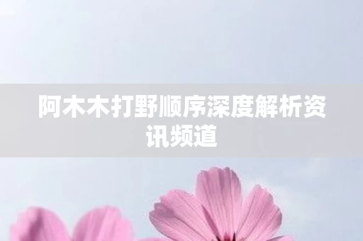 阿木木打野顺序深度解析资讯频道图片
