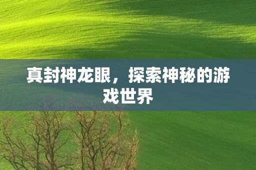 探索神秘的游戏世界图片