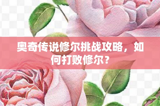 奥奇传说修尔挑战攻略图片