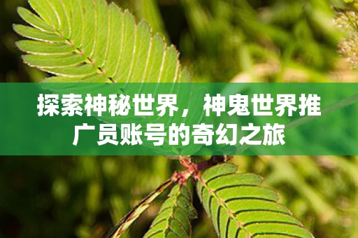 神鬼世界推广员账号的奇幻之旅图片