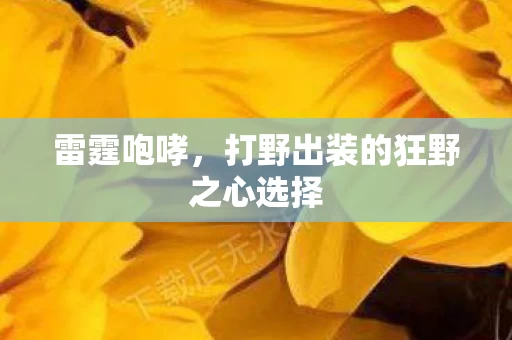打野出装的狂野之心选择图片