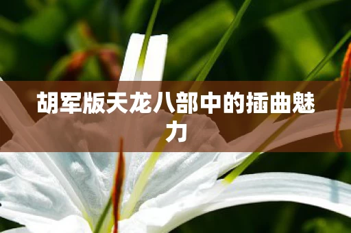 胡军版天龙八部中的插曲魅力图片