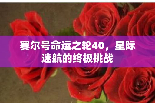 赛尔号命运之轮40图片