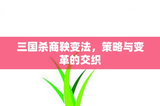 策略与变革的交织图片