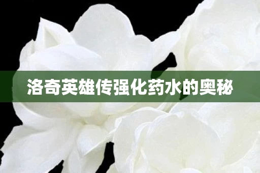 洛奇英雄传强化药水的奥秘图片