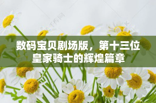 第十三位皇家骑士的辉煌篇章图片